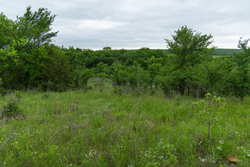 property photo for Harmony Hills Tract 2, 5.17 acres for sale in Pittsburg County, Oklahoma