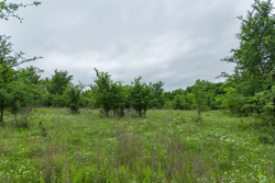 property photo for Harmony Hills Tract 2, 5.17 acres for sale in Pittsburg County, Oklahoma