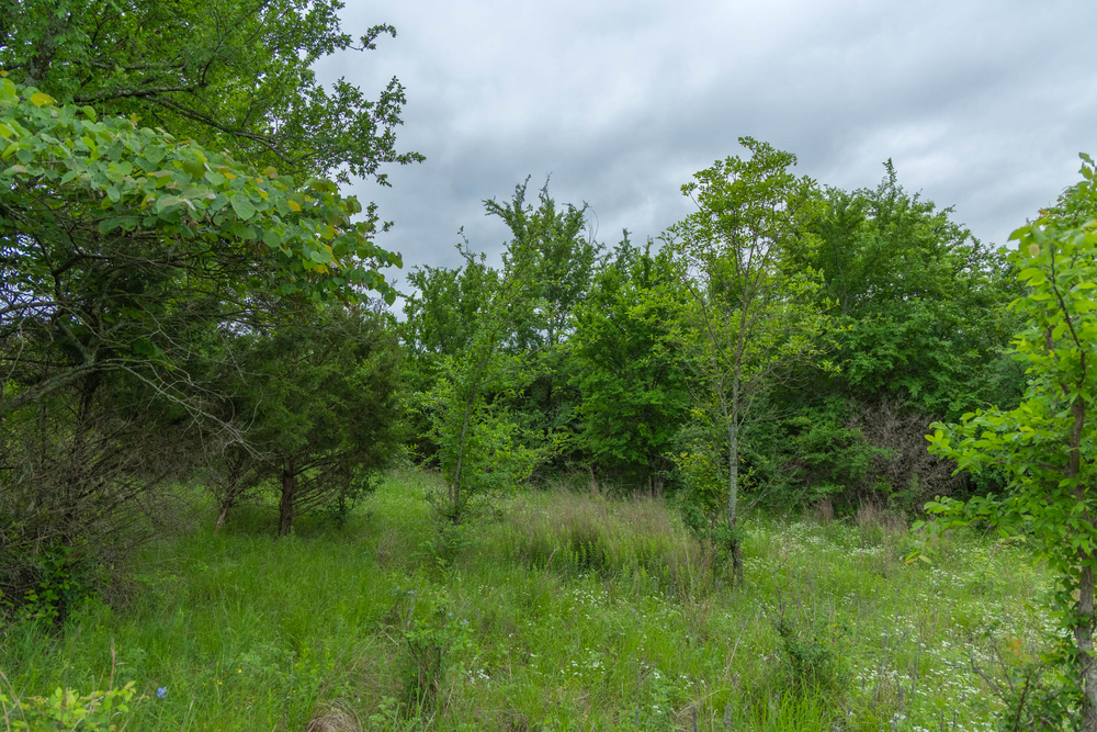 5.17 acre rural land tract for sale at Harmony Hills Tract 2 in Pittsburg County, Oklahoma