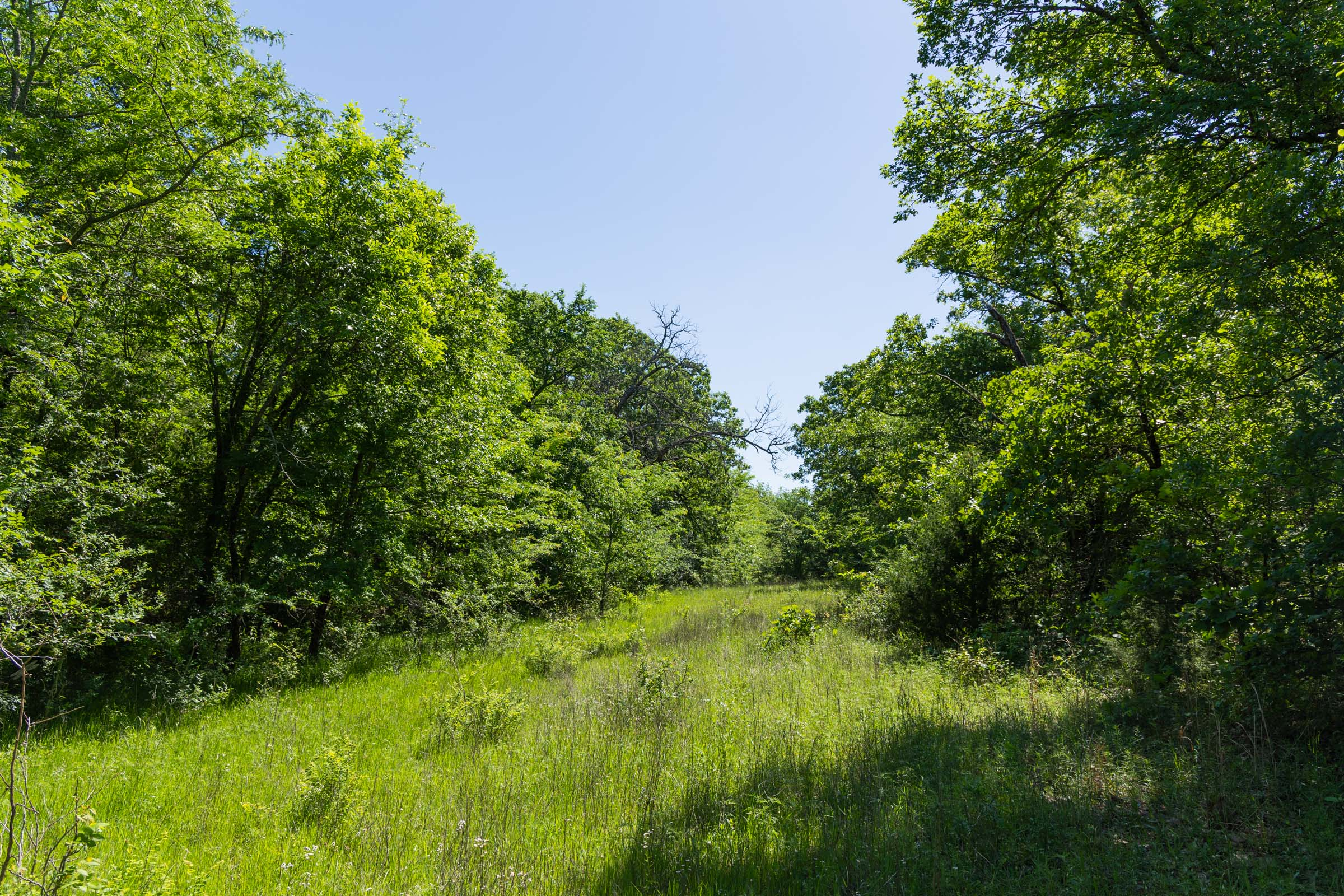 Harmony Hills · Tract 34