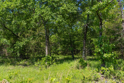 property photo for Harmony Hills Tract 34, 7.66 acres for sale in Pittsburg County, Oklahoma