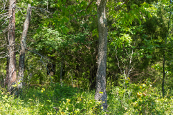 property photo for Harmony Hills Tract 34, 7.66 acres for sale in Pittsburg County, Oklahoma
