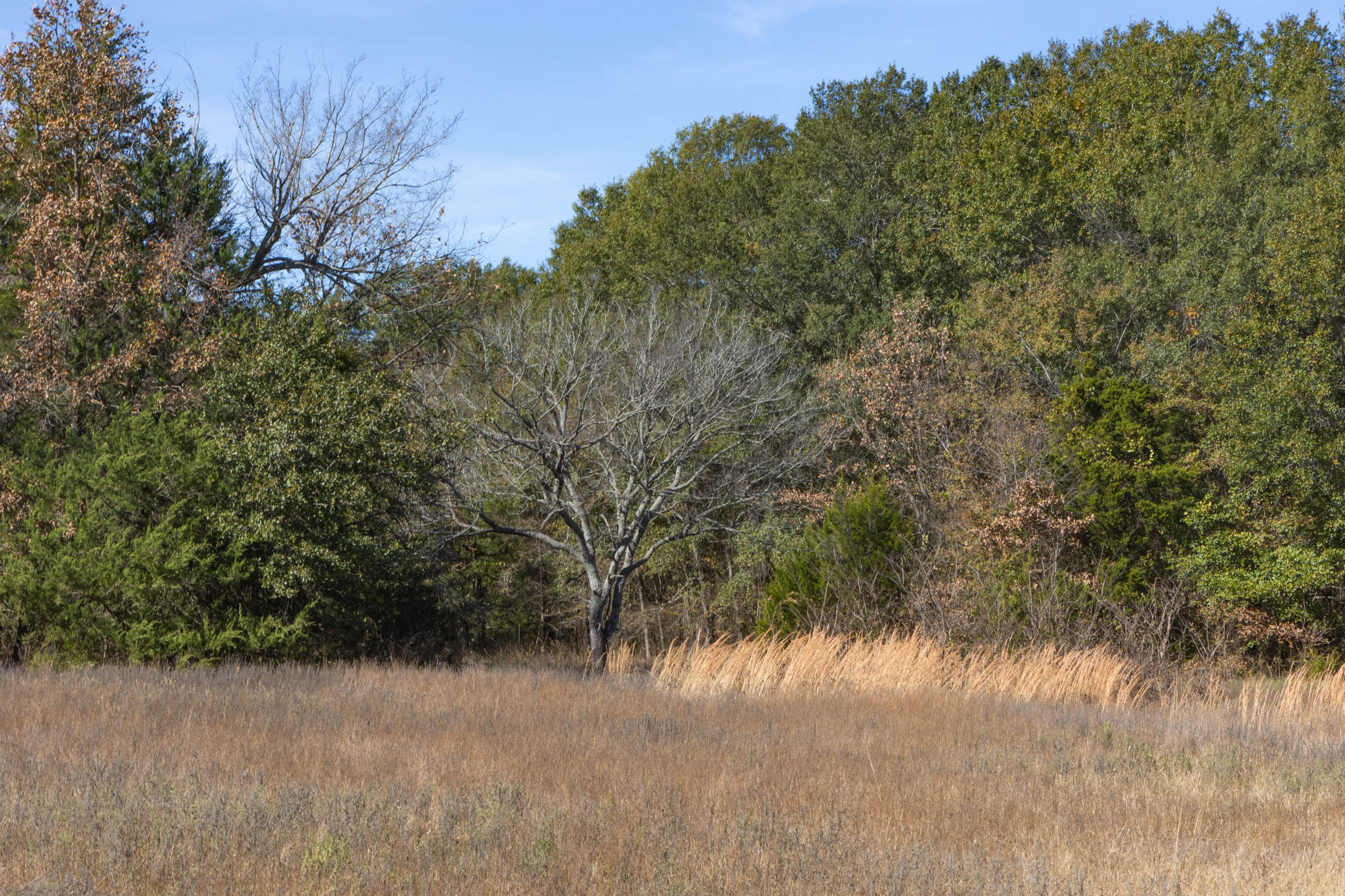 Tract 43 at Harmony Hills in Pittsburg County, Oklahoma
