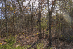 property photo for Harmony Hills Tract 45, 6.11 acres for sale in Pittsburg County, Oklahoma