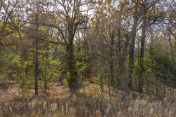 property photo for Harmony Hills Tract 45, 6.11 acres for sale in Pittsburg County, Oklahoma