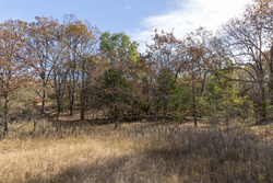 property photo for Harmony Hills Tract 45, 6.11 acres for sale in Pittsburg County, Oklahoma