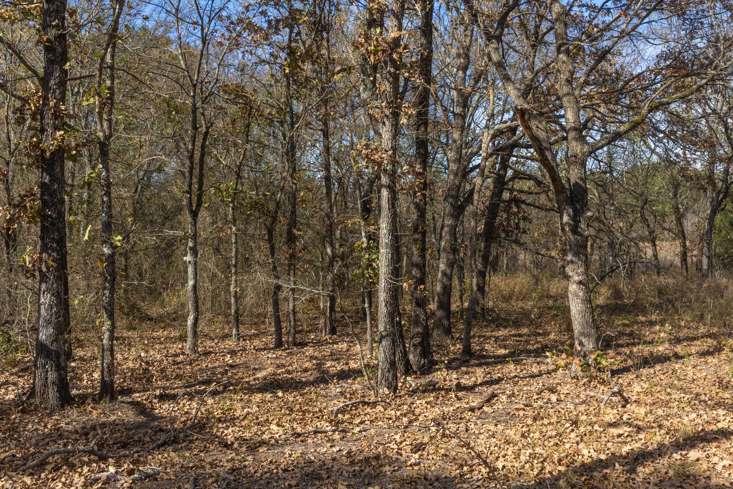 Tract 46 at Harmony Hills in Pittsburg County, Oklahoma