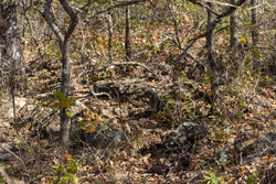 property photo for Harmony Hills Tract 48, 8.46 acres for sale in Pittsburg County, Oklahoma