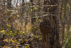 property photo for Harmony Hills Tract 48, 8.46 acres for sale in Pittsburg County, Oklahoma