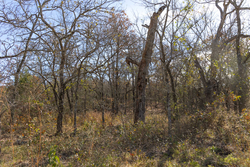 property photo for Harmony Hills Tract 48, 8.46 acres for sale in Pittsburg County, Oklahoma