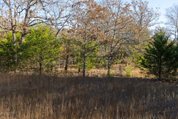property photo for Harmony Hills Tract 51, 4.45 acres for sale in Pittsburg County, Oklahoma