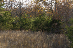 property photo for Harmony Hills Tract 51, 4.45 acres for sale in Pittsburg County, Oklahoma