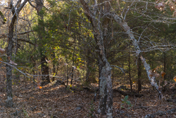 property photo for Harmony Hills Tract 51, 4.45 acres for sale in Pittsburg County, Oklahoma