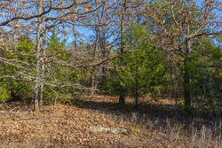 property photo for Harmony Hills Tract 51, 4.45 acres for sale in Pittsburg County, Oklahoma