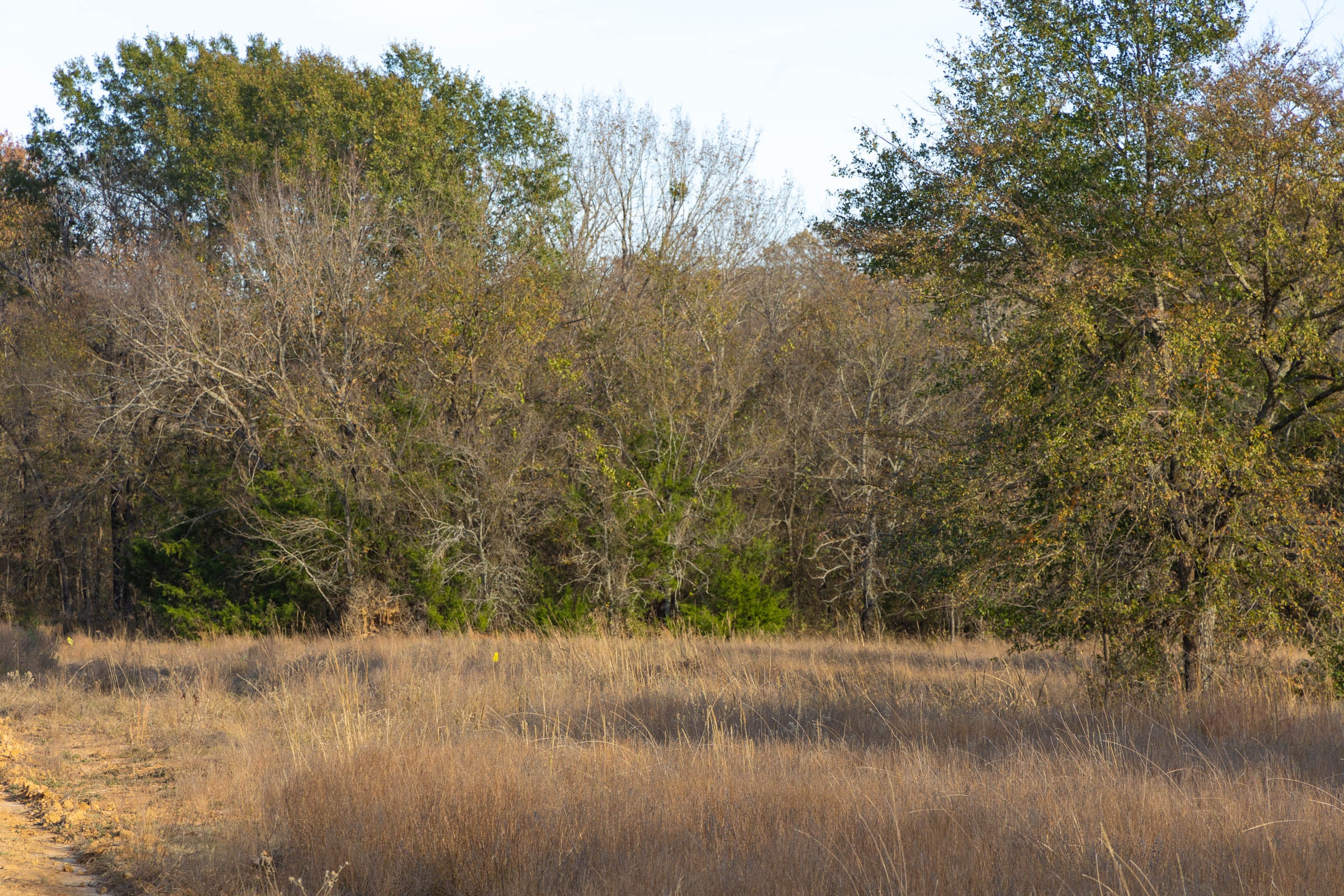 Tract 53 at Harmony Hills in Pittsburg County, Oklahoma