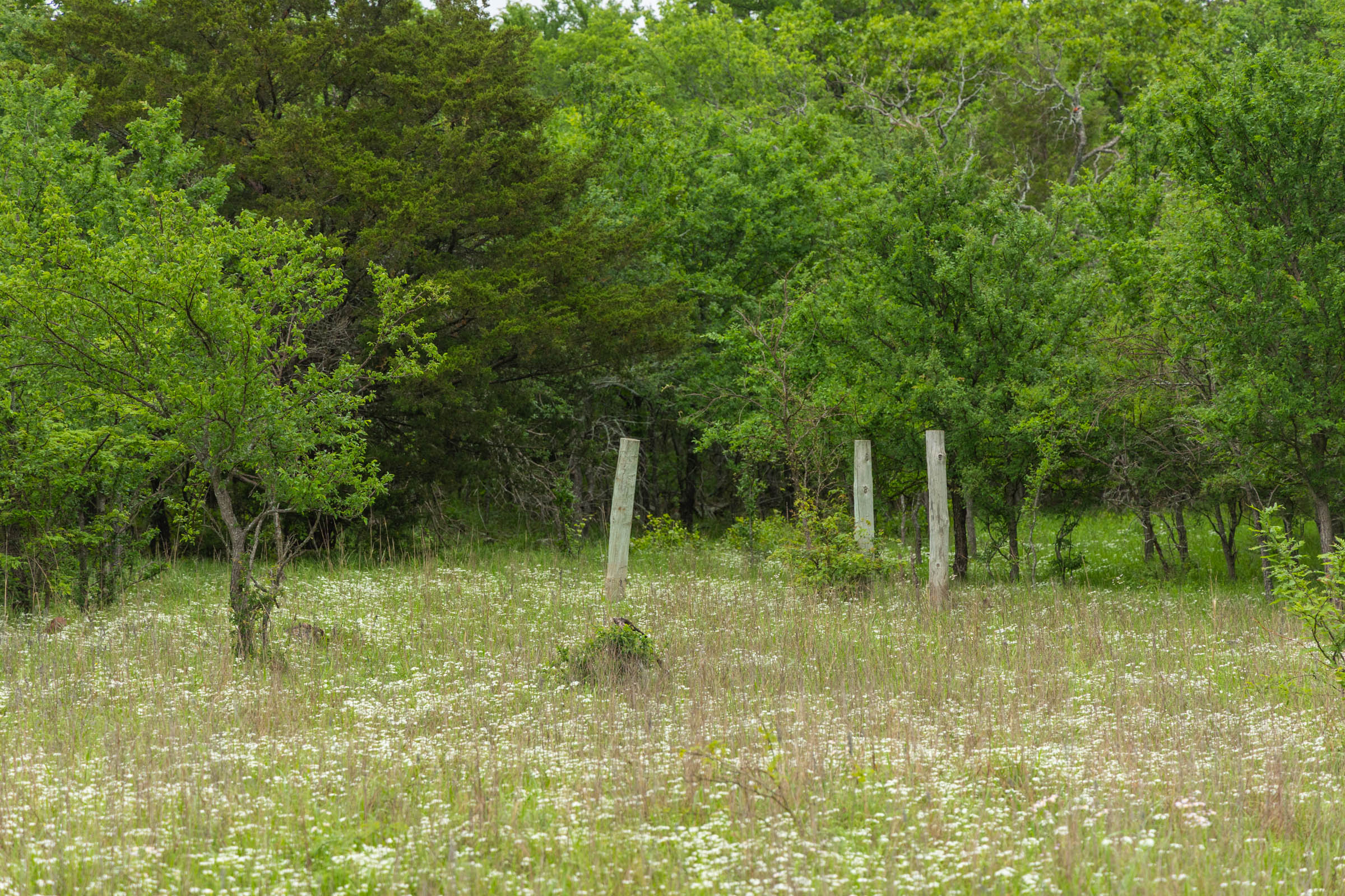 Tract 8 at Harmony Hills in Pittsburg County, Oklahoma