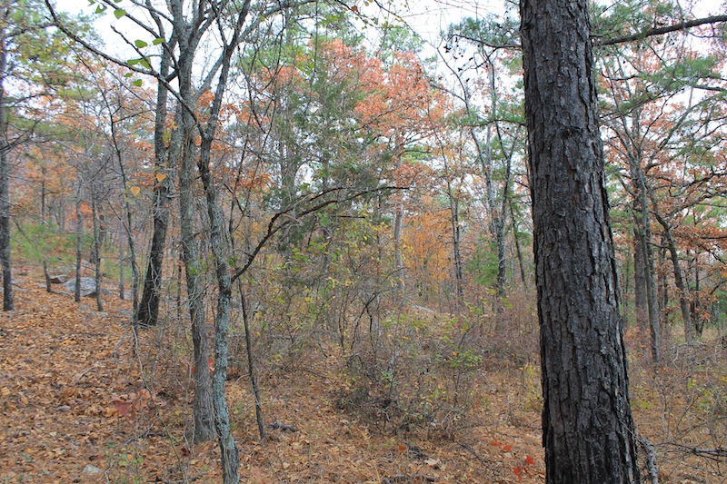 Tract 17 at Indian Ridge Phase I in Pittsburg County, Oklahoma