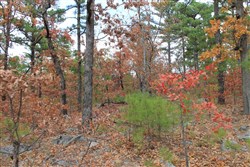 property photo for Indian Ridge Phase I Tract 2, 8.71 acres for sale in Pittsburg County, Oklahoma