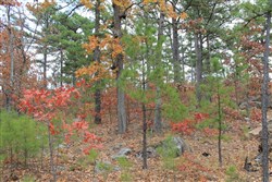 property photo for Indian Ridge Phase I Tract 2, 8.71 acres for sale in Pittsburg County, Oklahoma