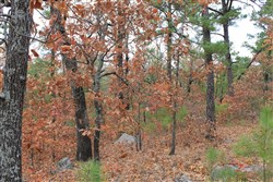 property photo for Indian Ridge Phase I Tract 2, 8.71 acres for sale in Pittsburg County, Oklahoma