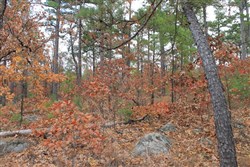 property photo for Indian Ridge Phase I Tract 2, 8.71 acres for sale in Pittsburg County, Oklahoma