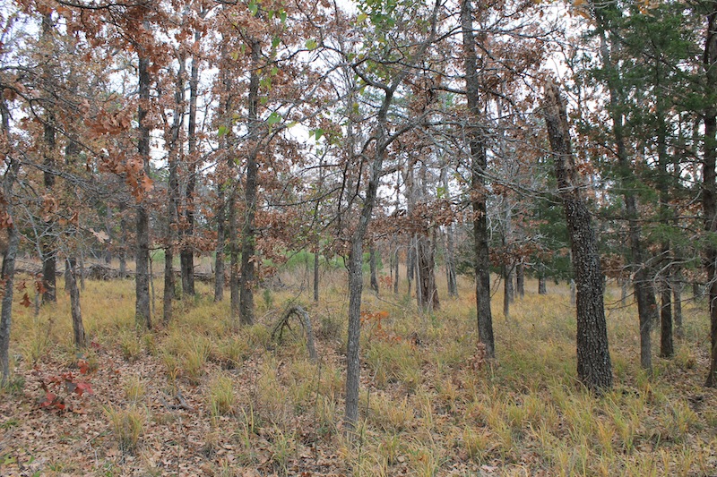 Tract 24 at Indian Ridge Phase I in Pittsburg County, Oklahoma