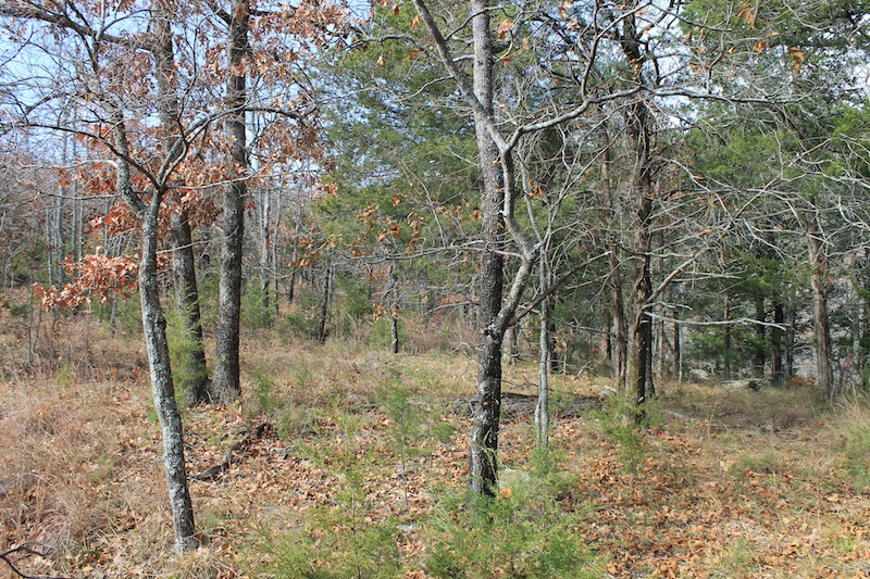 Tract 6 at Indian Ridge Phase I in Pittsburg County, Oklahoma