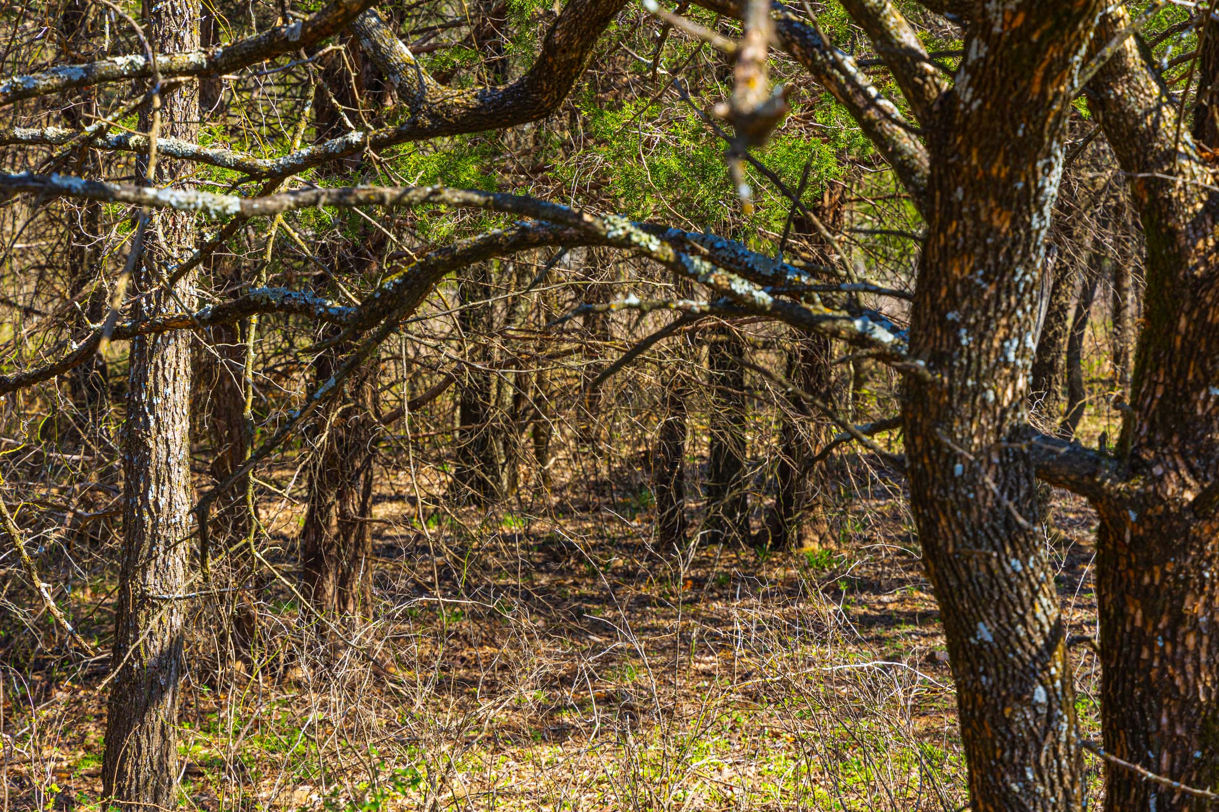 Tract 31 at Reserves At Cattail Cove Phase I in Pittsburg County, Oklahoma