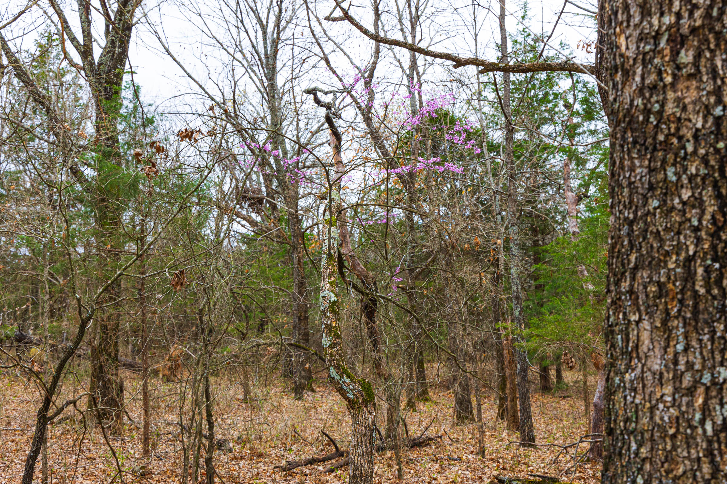 Tract 7 at Reserves At Cattail Cove Phase I in Pittsburg County, Oklahoma