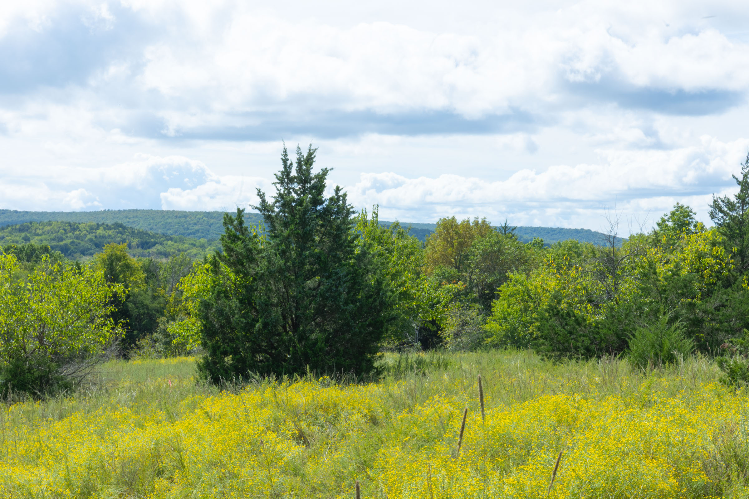 Tract 36 at Reserves At Cattail Cove Phase II in Pittsburg County, Oklahoma