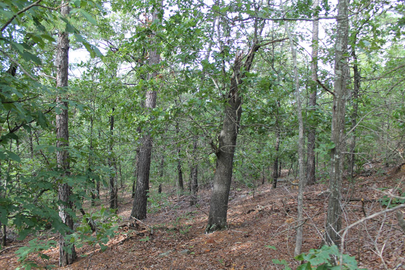 Tract 1 at Trophy Ridge Phase III in Pushmataha County, Oklahoma