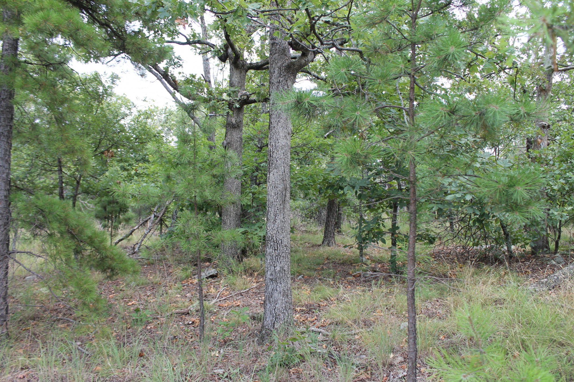 Tract 10 at Trophy Ridge Phase III in Pushmataha County, Oklahoma