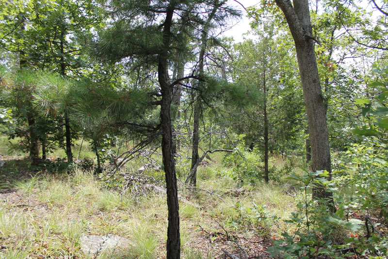 Tract 15 at Trophy Ridge Phase III in Pushmataha County, Oklahoma