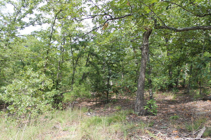 Tract 17 at Trophy Ridge Phase III in Pushmataha County, Oklahoma
