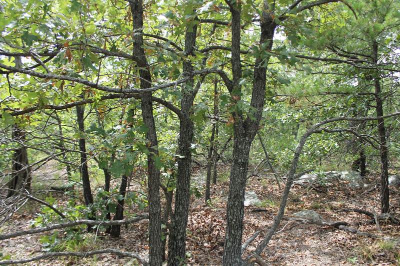 Tract 19 at Trophy Ridge Phase III in Pushmataha County, Oklahoma