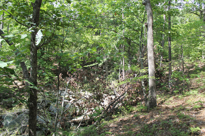 Tract 21 at Trophy Ridge Phase III in Pushmataha County, Oklahoma