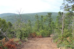 property photo for Trophy Ridge Phase III Tract 25, 9.59 acres for sale in Pushmataha County, Oklahoma