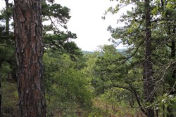 property photo for Trophy Ridge Phase III Tract 25, 9.59 acres for sale in Pushmataha County, Oklahoma
