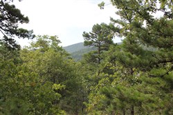 property photo for Trophy Ridge Phase III Tract 25, 9.59 acres for sale in Pushmataha County, Oklahoma