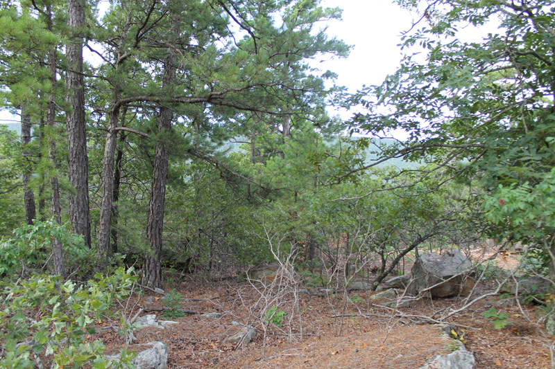 Tract 26 at Trophy Ridge Phase III in Pushmataha County, Oklahoma