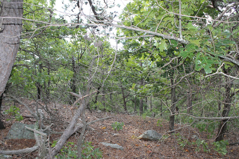 Tract 29 at Trophy Ridge Phase III in Pushmataha County, Oklahoma