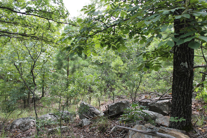 Tract 30 at Trophy Ridge Phase III in Pushmataha County, Oklahoma