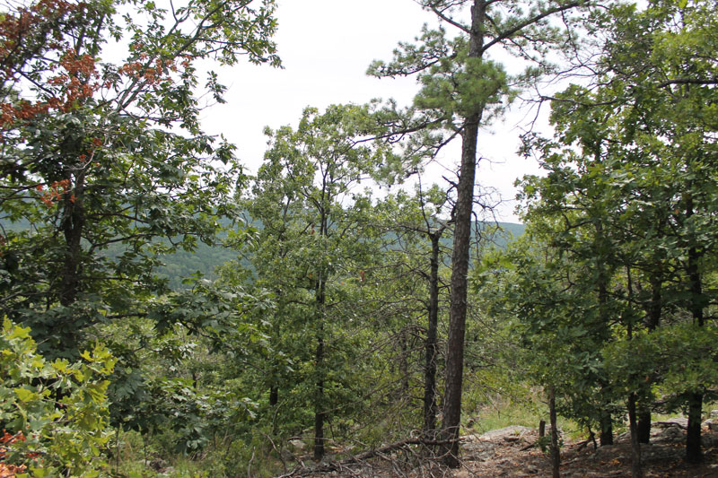 Tract 31 at Trophy Ridge Phase III in Pushmataha County, Oklahoma