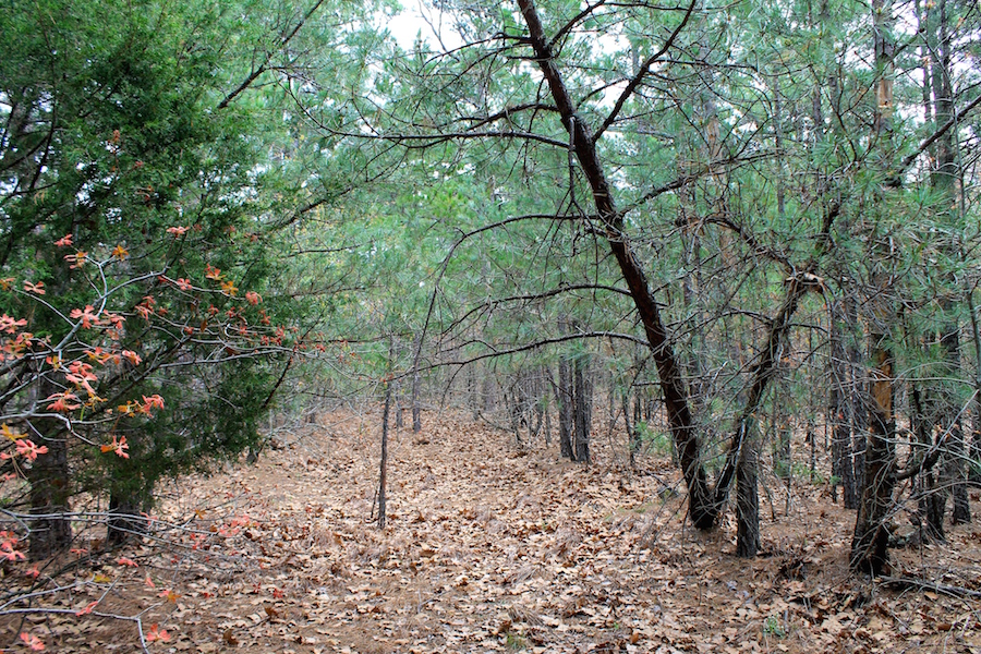 Tract 37 at Trophy Ridge Phase III in Pushmataha County, Oklahoma