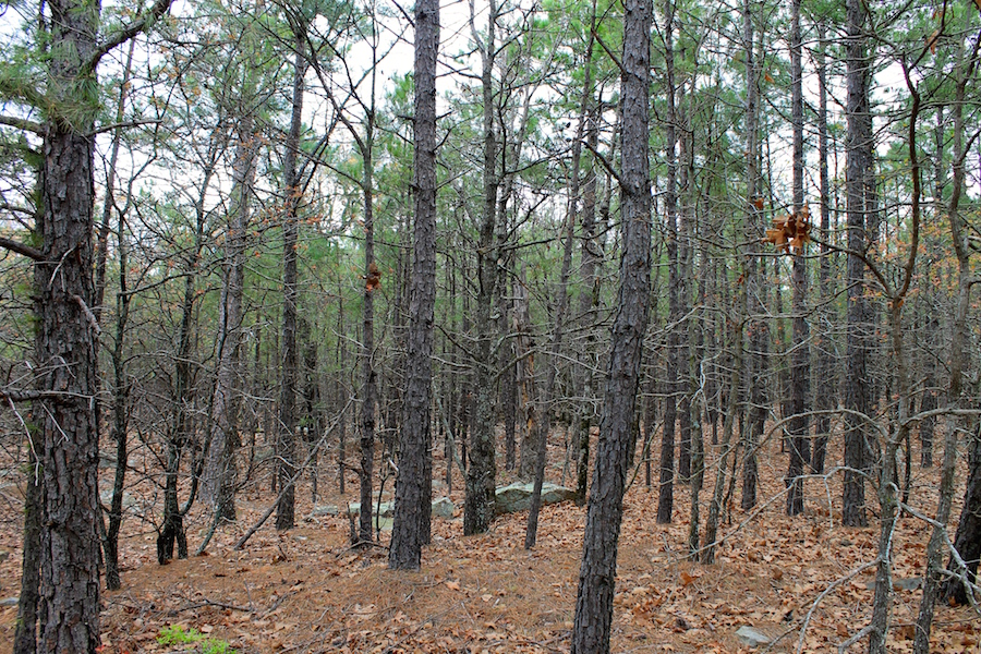 Tract 45 at Trophy Ridge Phase III in Pushmataha County, Oklahoma