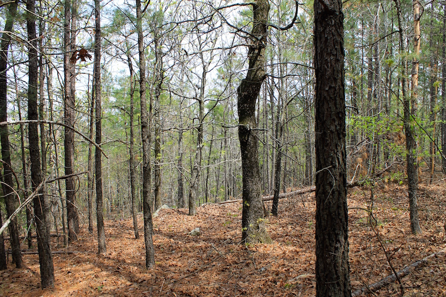 Tract 50 at Trophy Ridge Phase III in Pushmataha County, Oklahoma